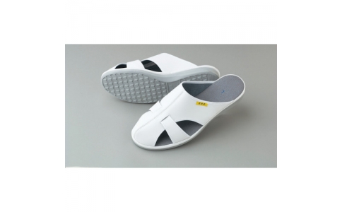 GUARDNER 嘉德納 G3000-1-LL-ADCLEAN靜電涼鞋（無腳后跟）白LL