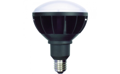 NICHIDO 日動(dòng)  L50W-E39-WBK-50K-NLED交換球