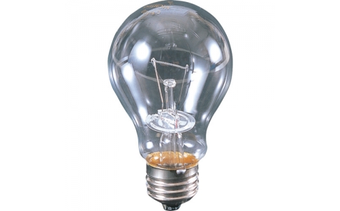NICHIDO 日動 CT-100耐震球110V100W