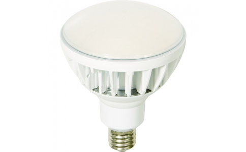 NICHIDO 日動  L50V2-J110W-50KLED交換球高規格環保BIKU 50WE39本體白