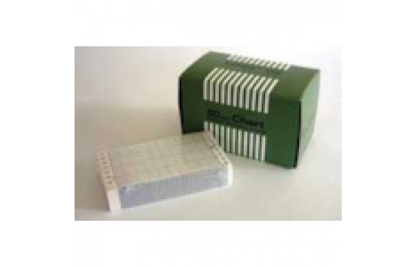 日本千野 CHINO  ES204-ES600系列記錄紙